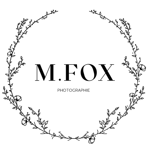 M.fox-500x500