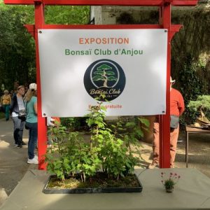 Photo (11) Photo (11)